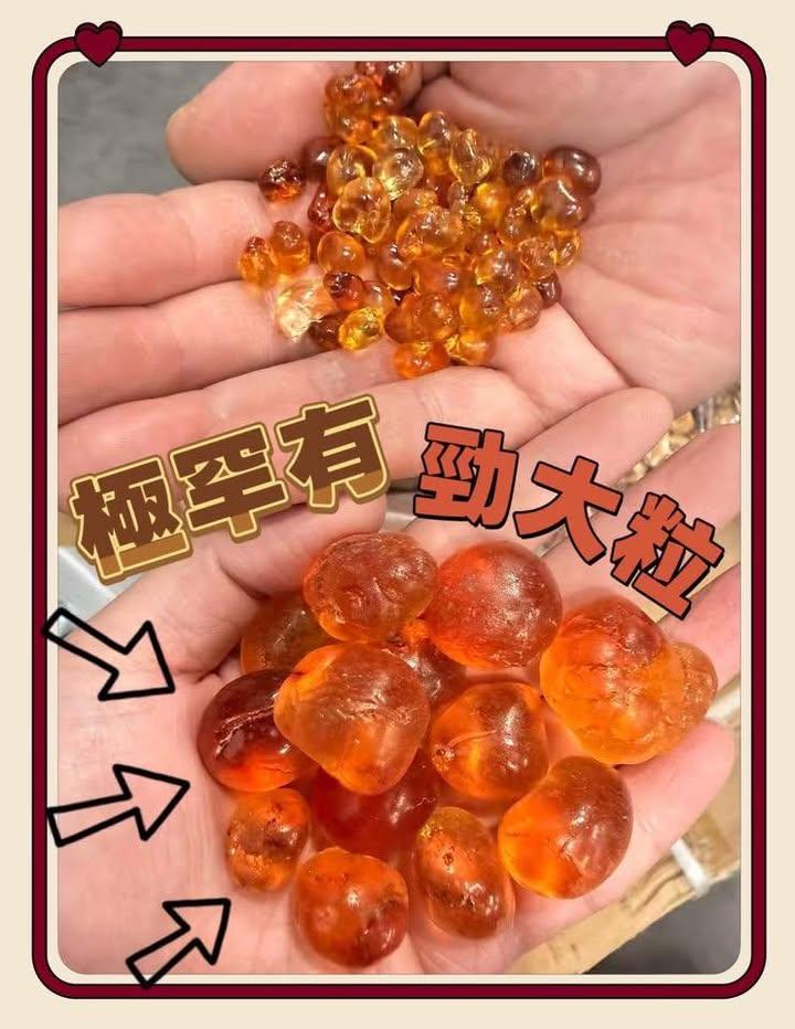 超級Jumbo琥珀桃膠