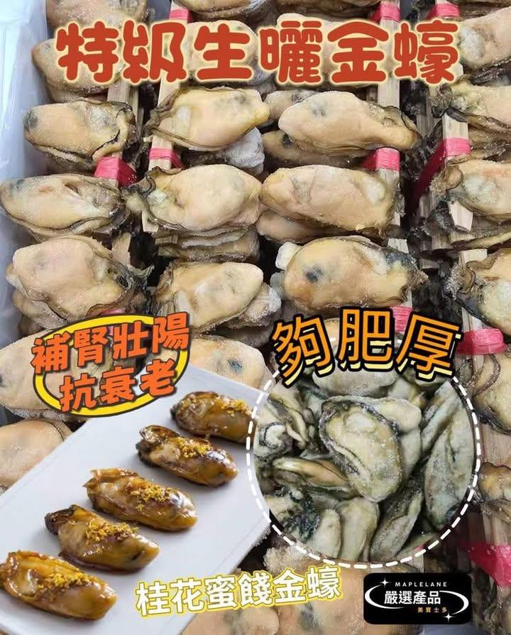 特級生曬金蠔