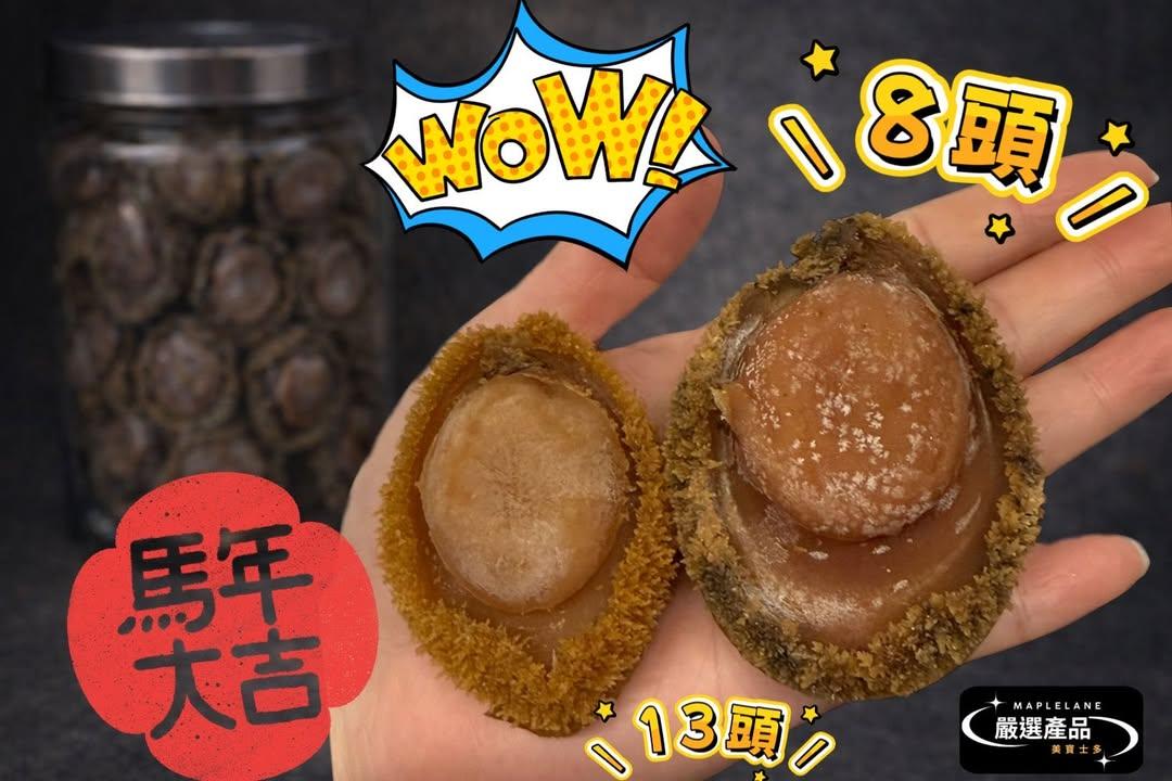 高級版8頭」南非乾鮑 (2)