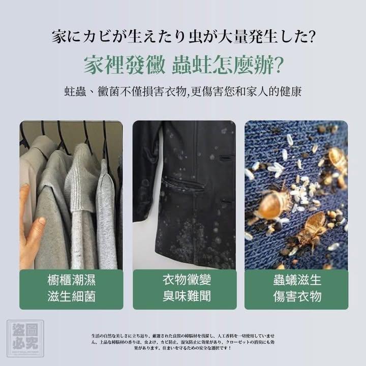 西田涼子香樟木條5入組 (下單+1=2盒) (3)