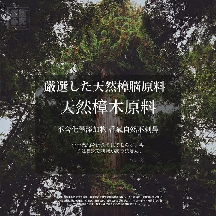 西田涼子香樟木條5入組 (下單+1=2盒) (5)