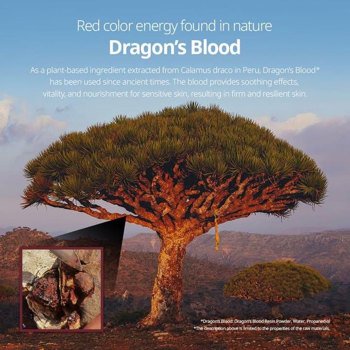 VT 龍血緊緻抗老微針100精華 (9)