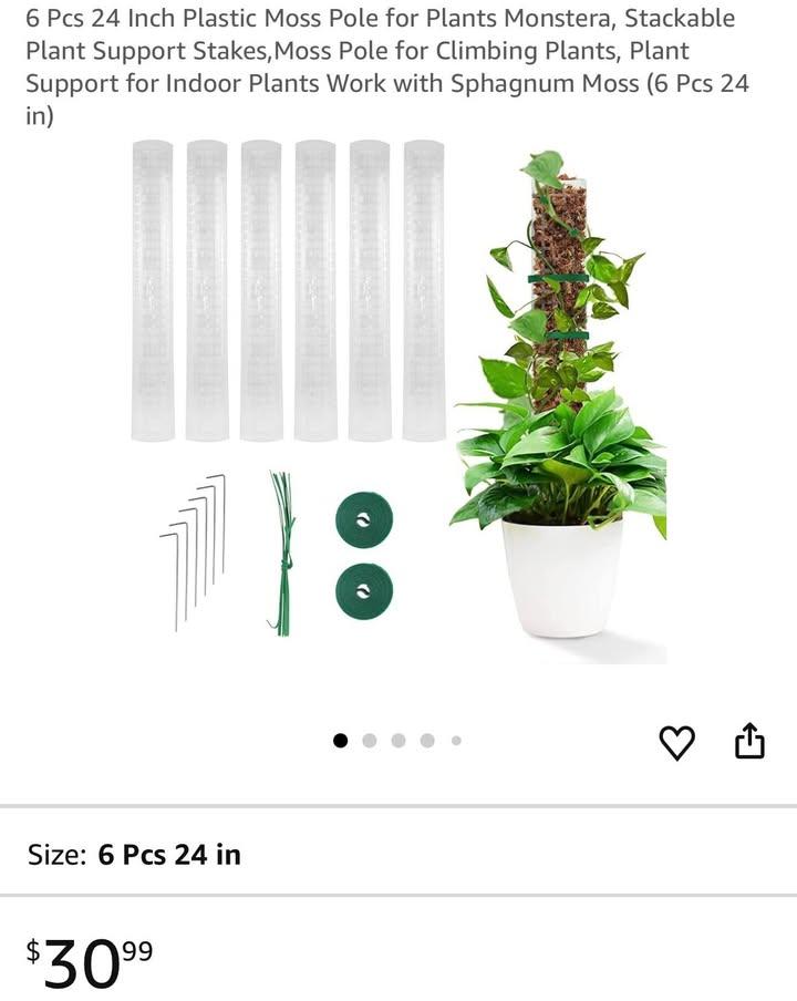 植物爆長神器｜攀爬苔蘚柱