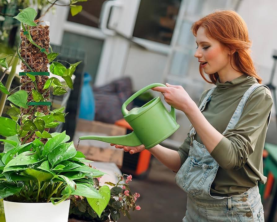 植物爆長神器｜攀爬苔蘚柱 (2)