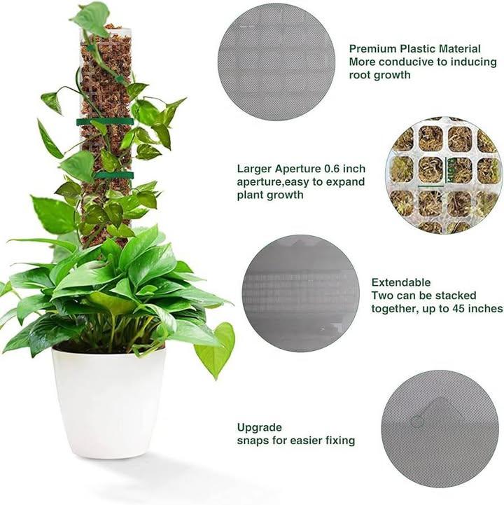 植物爆長神器｜攀爬苔蘚柱 (5)