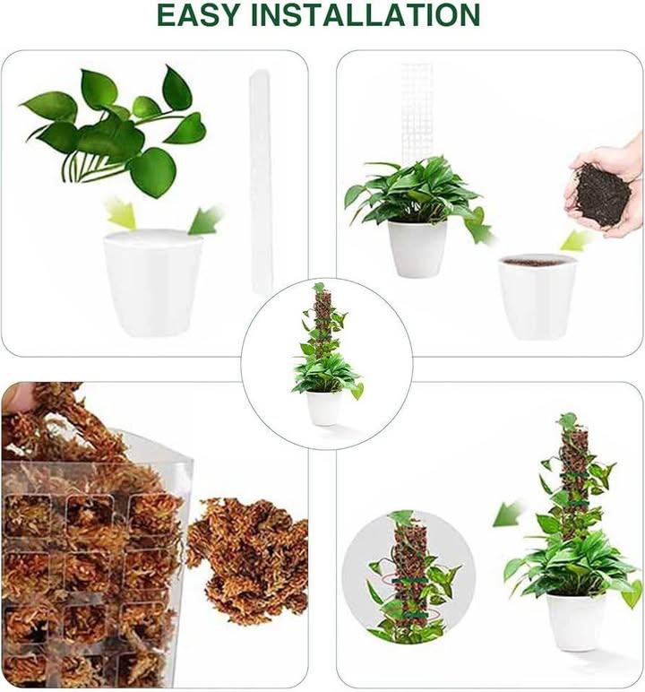 植物爆長神器｜攀爬苔蘚柱 (6)